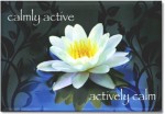 Calmly Active/Actively Calm ... Magnet