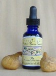 Flower Essence - Fig
