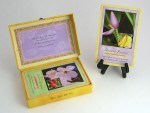 Flower Essences Affirmation Deck
