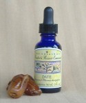 Flower Essence - Date