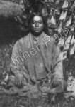 Paramhansa Yogananda Photo - Palm Tree - 5x7