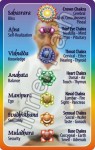 Chakra Wallet Card