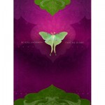 Be Still - Card