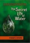 Secret Life of Water